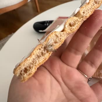 Aldığım Wasa Sesam Paketinden Böcek Çıktı, Hijyen Ve Sağlık Endişesi Yaşıyorum