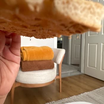 Aldığım Wasa Sesam Paketinden Böcek Çıktı, Hijyen Ve Sağlık Endişesi Yaşıyorum