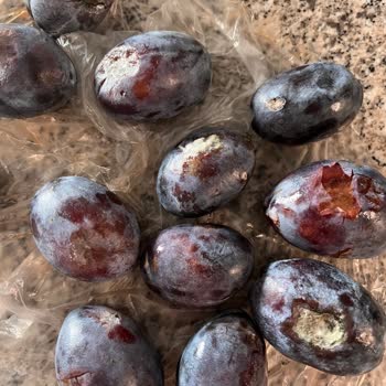 Migros Sanal Marketten Gelen Meyveler Taze Ve Kaliteli Değildi, Bebeğim İçin Riskli Oldu