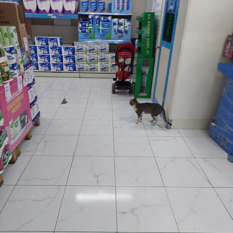 A101 Mağazasında Hijyen Eksikliği Ve Çalışanların İlgisiz Tavrı Alışverişi Engelledi