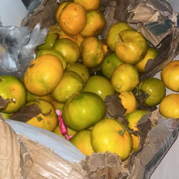 Hasarlı Ve Ezilmiş Kargo Teslimatı Sonrası Mağduriyet Giderilmiyor