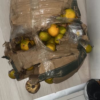 Hasarlı Ve Ezilmiş Kargo Teslimatı Sonrası Mağduriyet Giderilmiyor