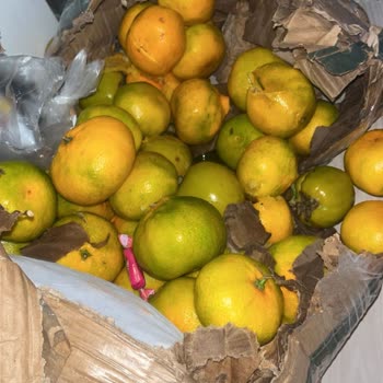 Kargom Paramparça Ve Ezilmiş Şekilde Teslim Edildi