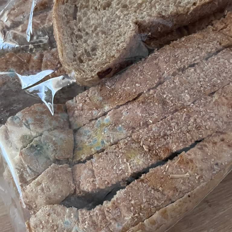 Migros Sanal Marketten Küflü Ekmek Ve İade Sorunu Yaşadım