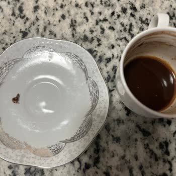 Kurukahveci Mehmet Efendi Satın Aldığım Türk Kahvesinde Kurt Çıktı!