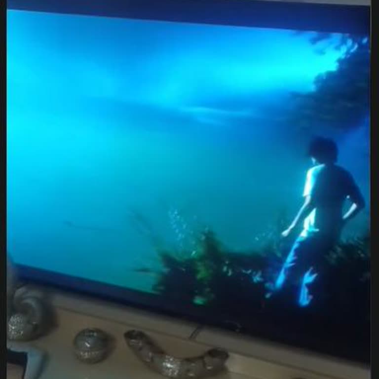 BİM İade Politikasına Rağmen Televizyon İadem Reddedildi, Ücretim Geri Ödenmiyor