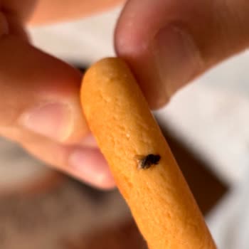 Biskrem Bisküvisinde Sinek Çıkması Hijyen Ve Sağlık Endişesi Yarattı