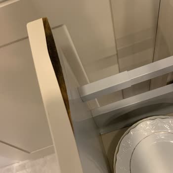 Yeni Alınan Franke Fırın Su Akıtıyor Davlumbaz Paslandı Teknik Servis Çözüm Sunmuyor