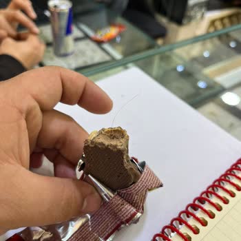 Aldığım Çikolatadan Kıl Çıkması Ve Müşteri Hizmetlerinden Dönüş Alınamaması