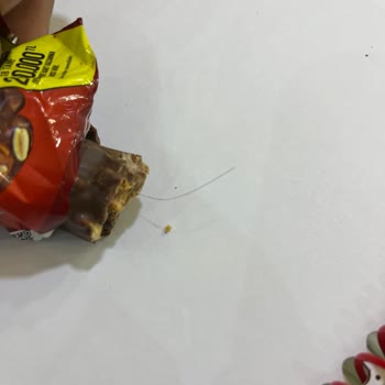 Aldığım Çikolatadan Kıl Çıkması Ve Müşteri Hizmetlerinden Dönüş Alınamaması