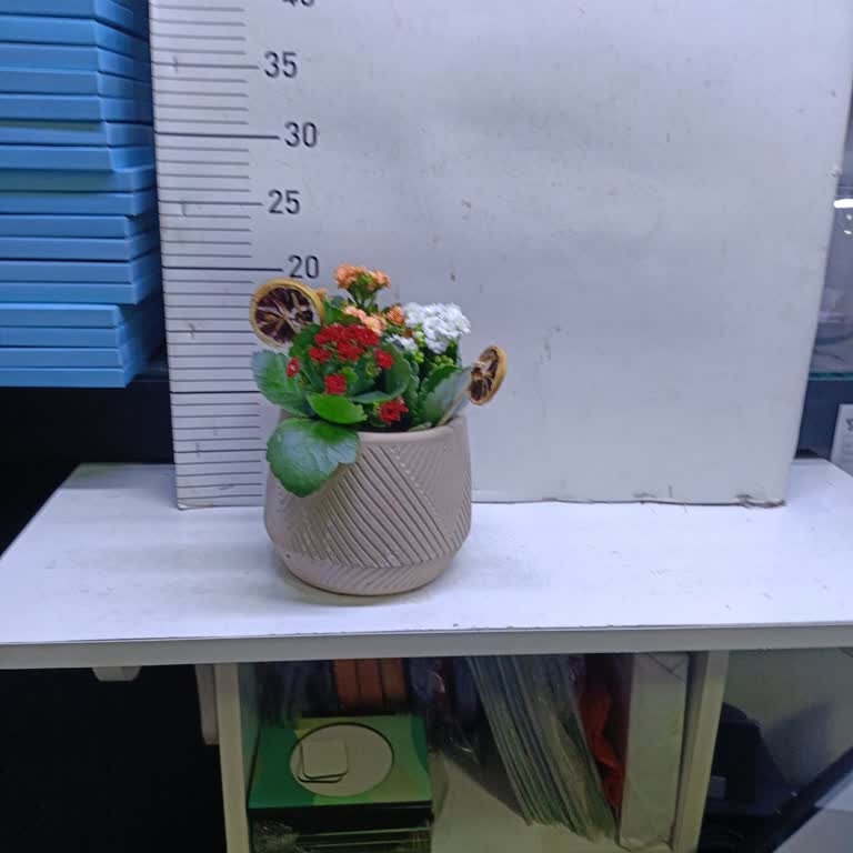 Yanlış Ürün Ve Geciken Teslimat Mağduriyeti