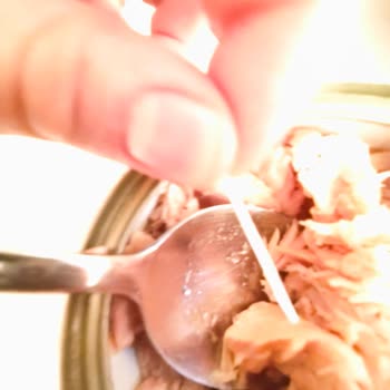 Ton Balığı Konservesinde Plastik Maddeyle Karşılaştım