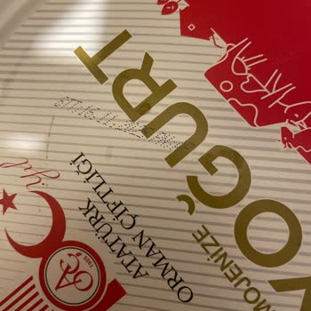 Son Kullanma Tarihi Geçmemiş Yoğurtta Küf Çıkması Ve Güven Kaybı