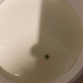 Son Kullanma Tarihi Geçmemiş Yoğurtta Küf Çıkması Ve Güven Kaybı