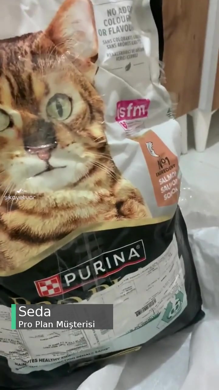 Trendyol'da Satılan Şüpheli Pro Plan Mama videonun kapak resmi