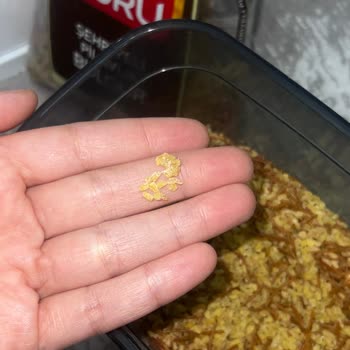 Duru Bulgur Aldığım Ürünlerde Sürekli Böcek Ve Bayatlama Sorunu Yaşıyorum