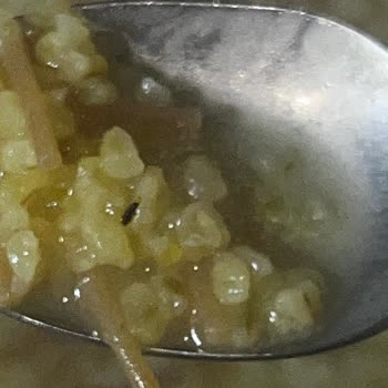 Duru Bulgur Aldığım Ürünlerde Sürekli Böcek Ve Bayatlama Sorunu Yaşıyorum