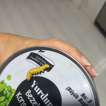 Konserve Bezelyeden Kurt Çıkması Ve Müşteri Hizmetlerinden Yanıt Alınamaması