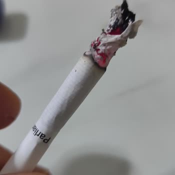 Parliament Night Blue Sigarada Odun Parçası Ve Kötü Koku Sorunu