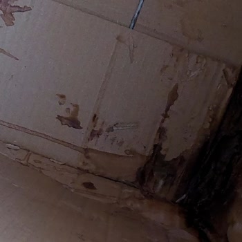 Hasarlı Ürün Ve Çözülmeyen Şikayet: Pazarama'da Süreç Yönetimi Sorunu