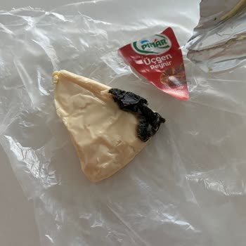 Son Kullanma Tarihi Geçmemiş Peynirde Küf Ve Siyahlaşma Şoku