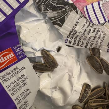 Ay Çekirdeğinde Sinek Şoku: Sağlığımız Tehlikede!