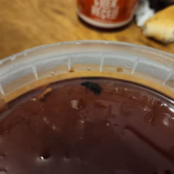 Yeni Açılan Reçelden Böcek Çıktı: Sağlığım Tehlikede