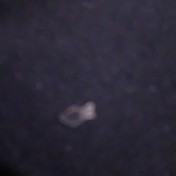 Luppo Çikolatalı Sandviç'ten Yabancı Cisim Çıkması Ve Müşteri Hizmetlerine Ulaşılamaması