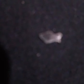 Luppo Çikolatalı Sandviç'ten Yabancı Cisim Çıkması Ve Müşteri Hizmetlerine Ulaşılamaması