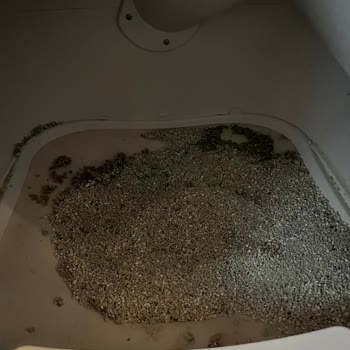 Xenon Smart Kedi Tuvaleti Kendi Kendini Temizlemiyor Müşteri Hizmetleri Çözüm Sunamadı