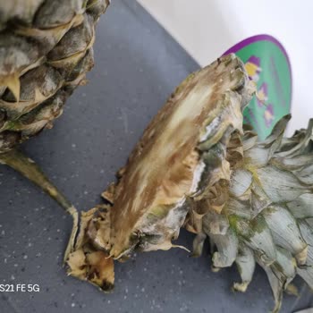 Çürük Ananas Teslimatı Ve Müşteri Hizmetlerinden Yanıt Alamama