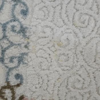 Halılar Kirli Ve Solmuş, Firma İlgisiz Ve Kaba Davrandı