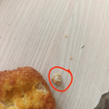 Lezita Ürününde Plastik İp Tehlikesiyle Karşılaştım