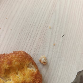 Lezita Ürününde Plastik İp Tehlikesiyle Karşılaştım