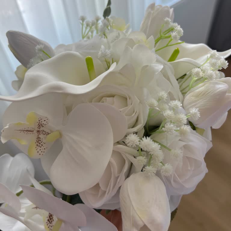 @gelincicegi_flora Geri Dönüş Yapan Yok