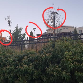 Parktaki Aydınlatma Sorunu Güvenliği Tehdit Ediyor