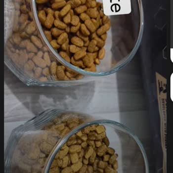 Aldığım Kedi Maması Sahte Çıktı Param İade Edilmedi