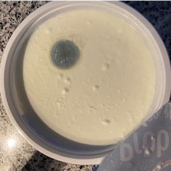 Pınar Yoğurtta Küf Çıktı Hamilelikte Mağdur Oldum Firma İlgisiz Kaldı