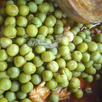 Konserve Bezelyede Tırtıl Ve Koza Şoku Hijyen Skandalı Yaşadım