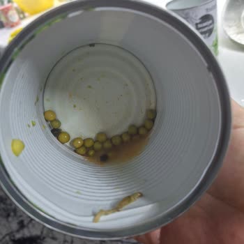 Konserve Bezelyede Tırtıl Ve Koza Şoku Hijyen Skandalı Yaşadım