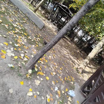 Esenyurt Belediyesi Köprü Parkı'nda Görevli Personelin İlgisizliği Ve Temizlik Sorunu