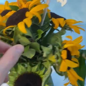 Solmuş Çiçek, Mahcubiyet Ve Yetersiz Çözüm: Manevi Tazminat Talebim