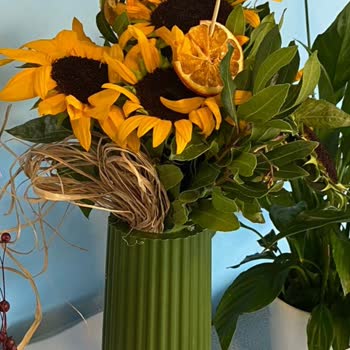 Solmuş Çiçek, Mahcubiyet Ve Yetersiz Çözüm: Manevi Tazminat Talebim