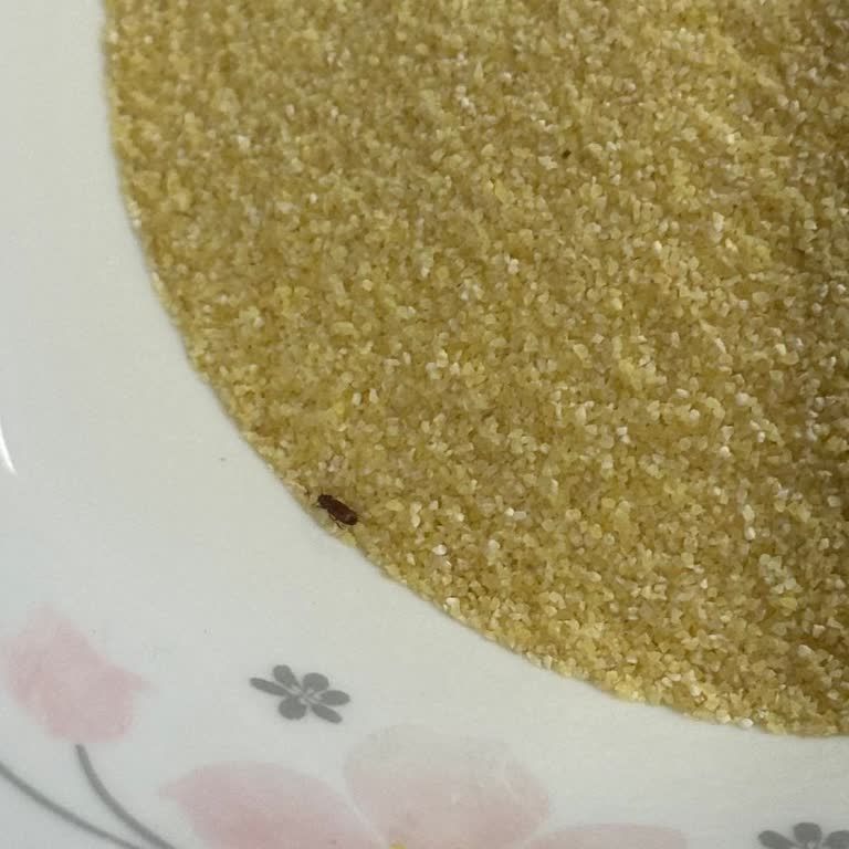 Aldığım İrmikten Böcek Çıktı, Açıklama Bekliyorum