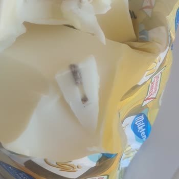 Tereyağında Fare Kuyruğuna Benzeyen Yabancı Cisimle Karşılaştım