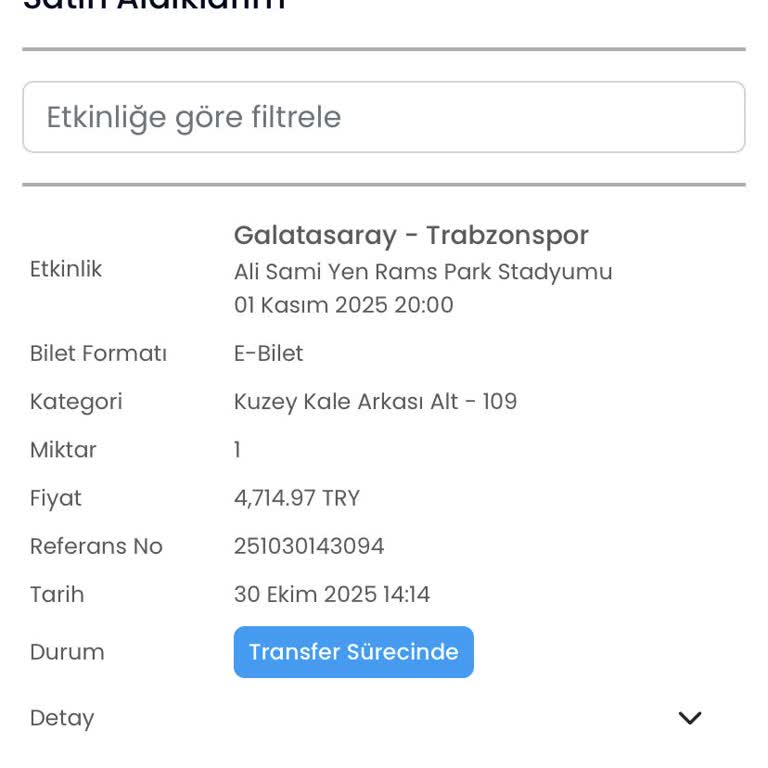 Satın Aldığım Maç Bileti Hâlâ Passolig Hesabıma Aktarılmadı, Mağduriyet Yaşıyorum