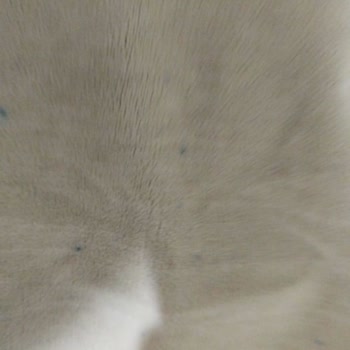 Defolu Ürün Ve Eksik Hediye Nedeniyle Mağduriyet