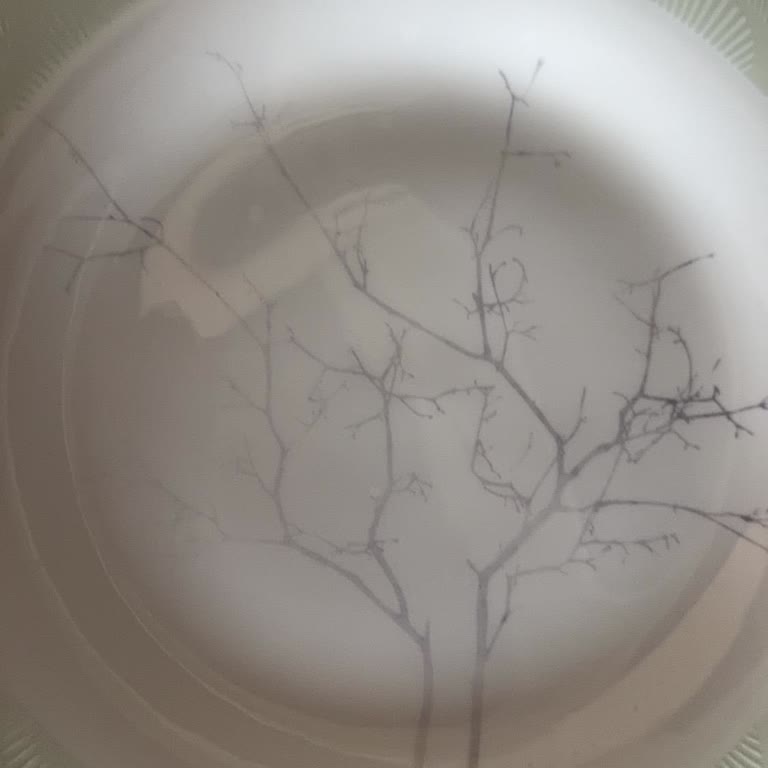 Karaca Züccaciye Fine Pearl Kahvaltı Takımında Ömür Boyu Desen Garantisine Rağmen Silinme Sorunu!