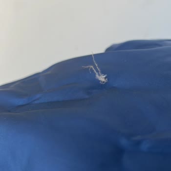 3 Günlük Columbia Montta Tüylenme Ve Delik Şoku!