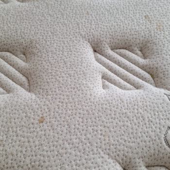 Bambi Yatakta Nedensiz Leke Oluşumu Ve Garanti Dışı Bırakılması